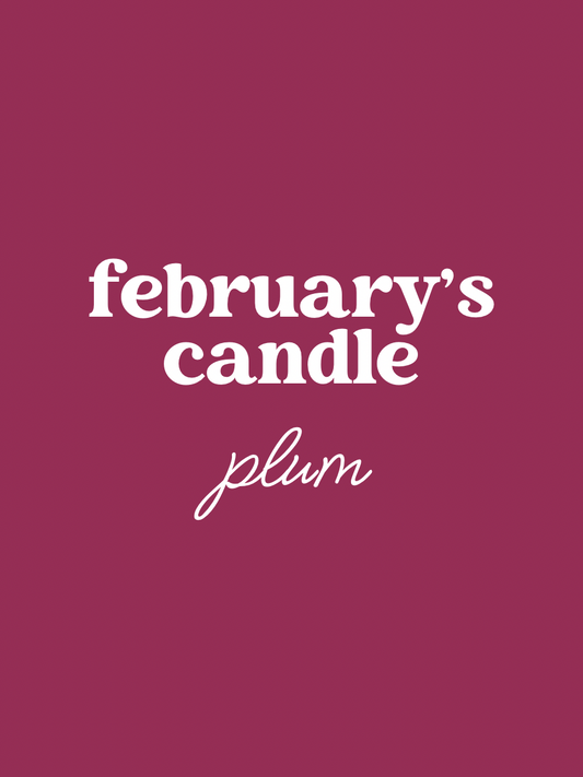 monthly subscription box - plum